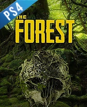 The Forest PS4