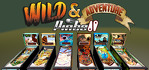 Wild & Adventure Pinball Nintendo Switch